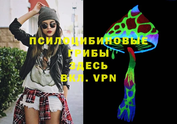 гидропоника Алзамай