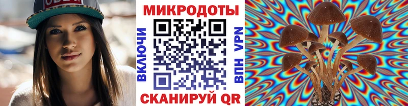 Галлюциногенные грибы мухоморы  Тотьма 